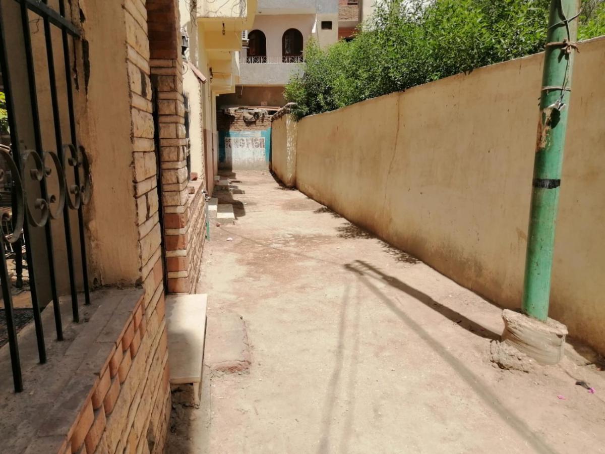 Winter Guest House Luxor Exterior photo